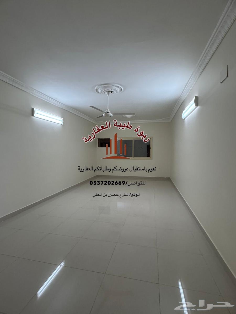 شقة للإيجار