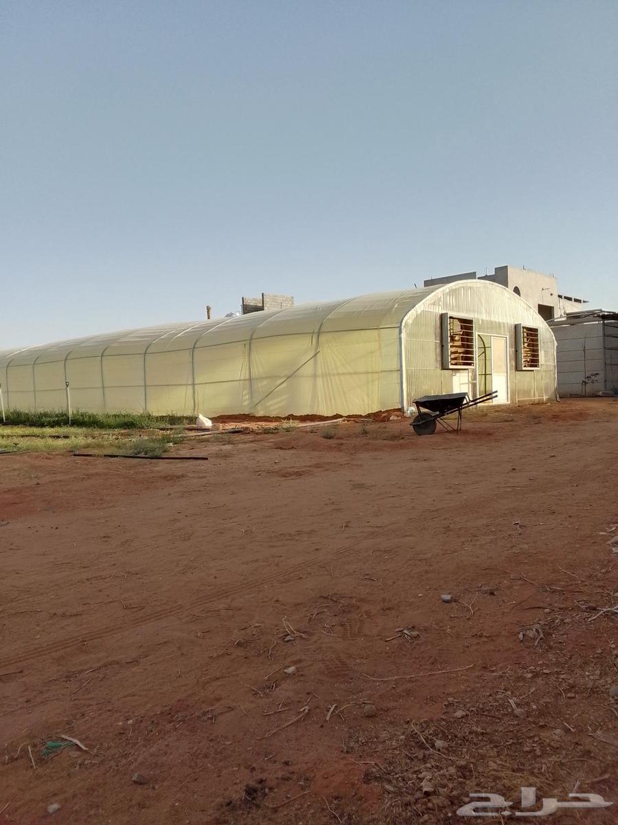 فك وتركيب بيوت محميه64473997213955111