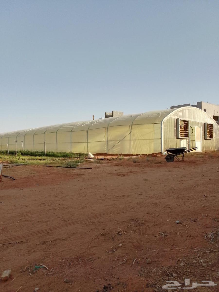 فك وتركيب بيوت محميه64473997213955110