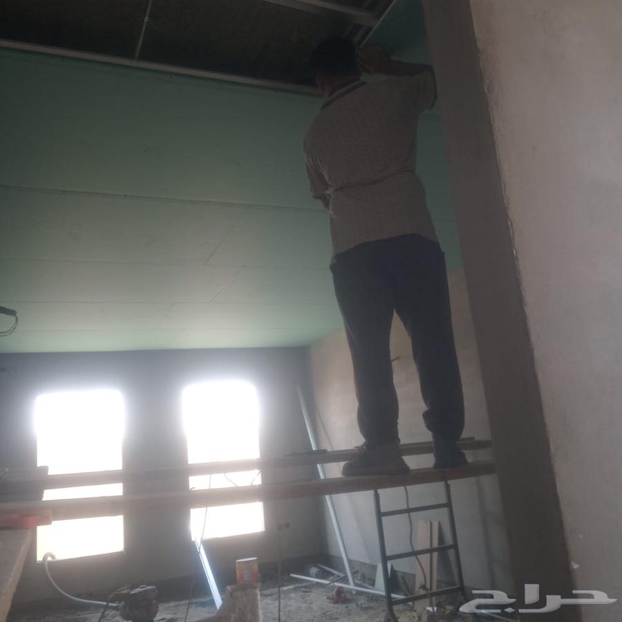 آنا معلم جبس بلدي عادي آنا معلم جبس بورد سمنت بورد شغل ممتاز64474012271235110