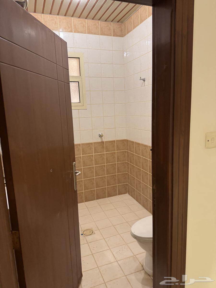 شقَّة صغيرة (استوديو) للإيجار