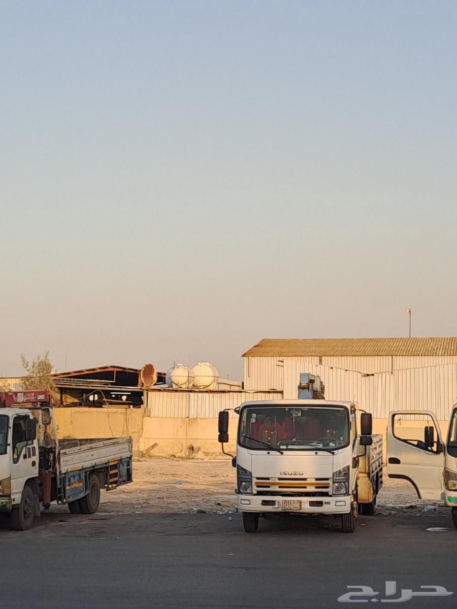 دينا ونش نقل داخل وخارج رياض اي اغرات نقل64474058519043110