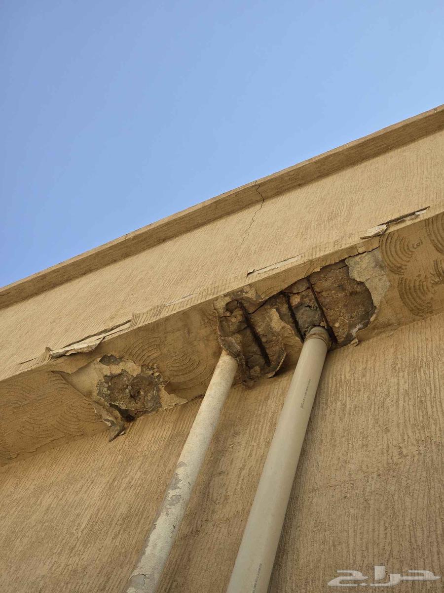 Repair, demolition, ceramic installation, gypsum board, tiles and paint works64474012614146112