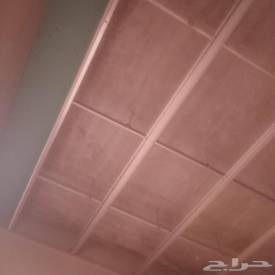 آنا معلم جبس بلدي عادي آنا معلم جبس بورد سمنت بورد شغل ممتاز64474012271235112