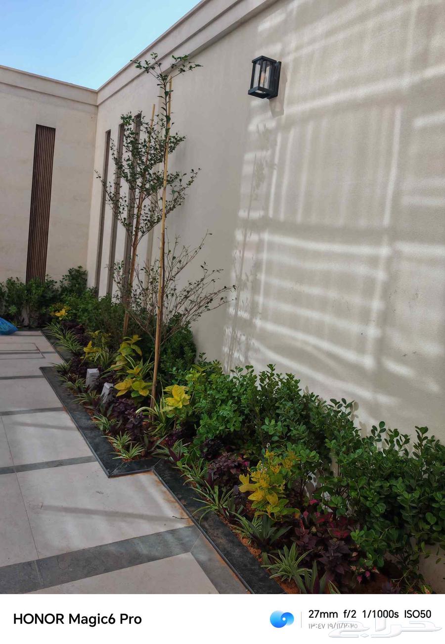 Natural grass farming and installation of regular and automatic irrigation networks64474042445443110