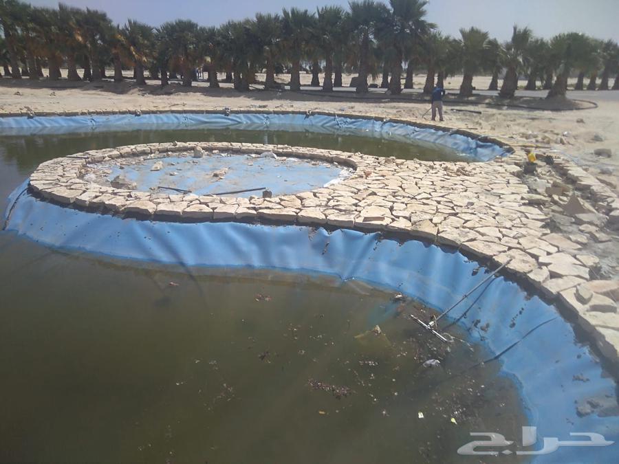 مقاول وتركيب الحجر الطبيعي تدبيش الحجر بحيرات وحواجز مائيه64473899250689110