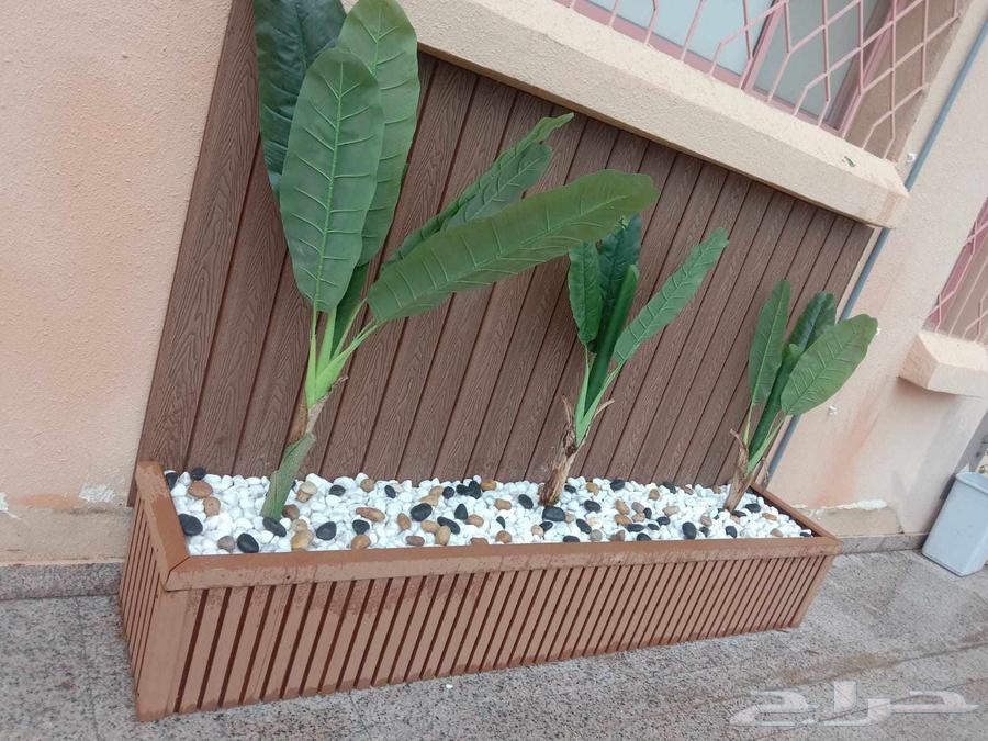 عشب صناعي الأرضي وجداري وبديل الخشب ومظلات وسواتر وبرجولت64473884187395113