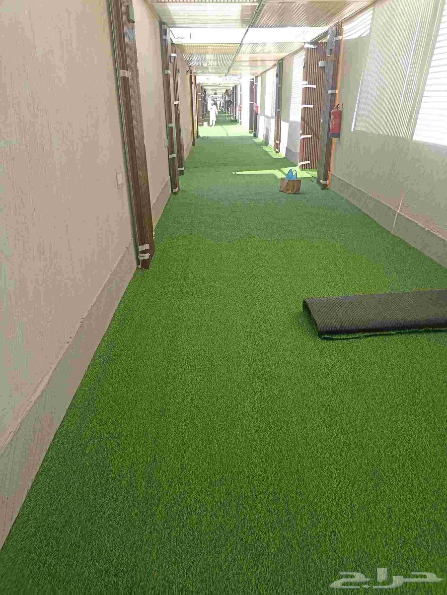 Carpet, turf, and rug installer and everything related to flooring64473821167362113