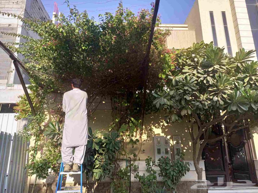 خدمات تنسيق الحدائق في الرياض نقدم جميع أعمال تنسيق وإنشا64459913012482110