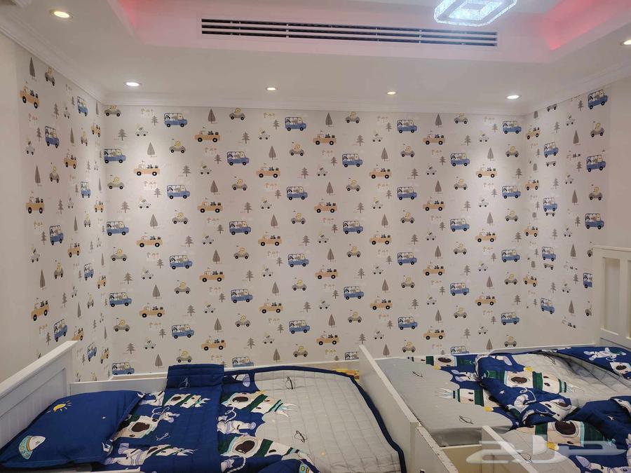 ديكورات ودهانات تركيب شيبورد و ورق جدران وجبس64473916475267114