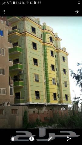 Tiling, graphite and all finishing works64459883090050111