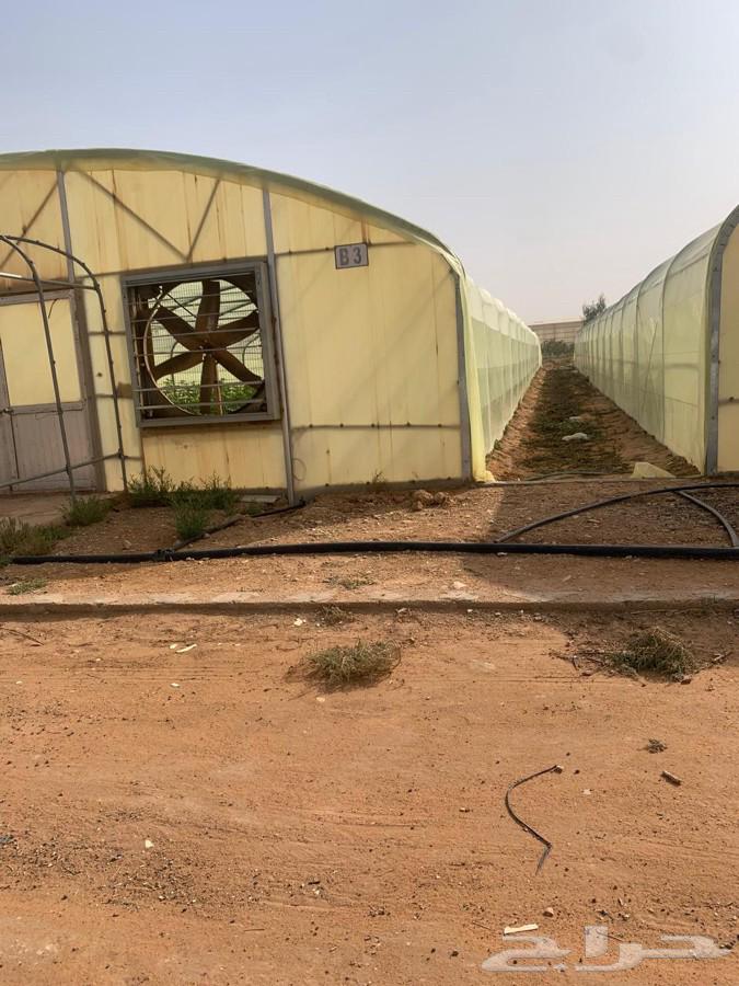 فك وتركيب بيوت محميه64473997213955112