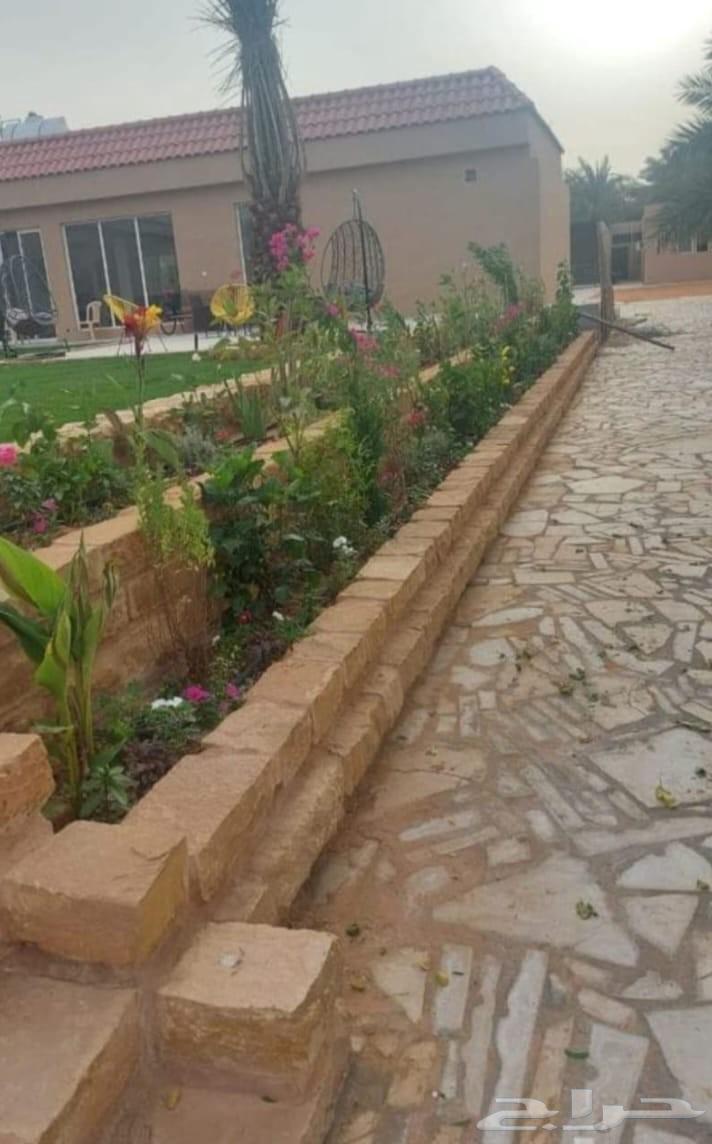 For all types of natural stone and clay64473965642241114