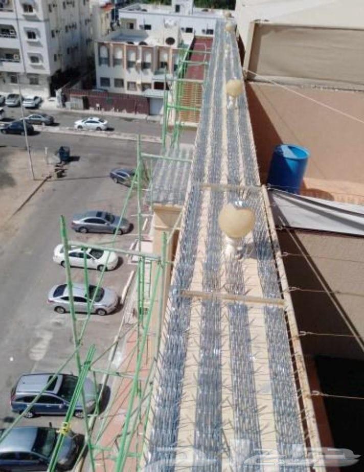 Annoying pigeon repellent, pigeon and insect net installation in Jeddah64473982053379114