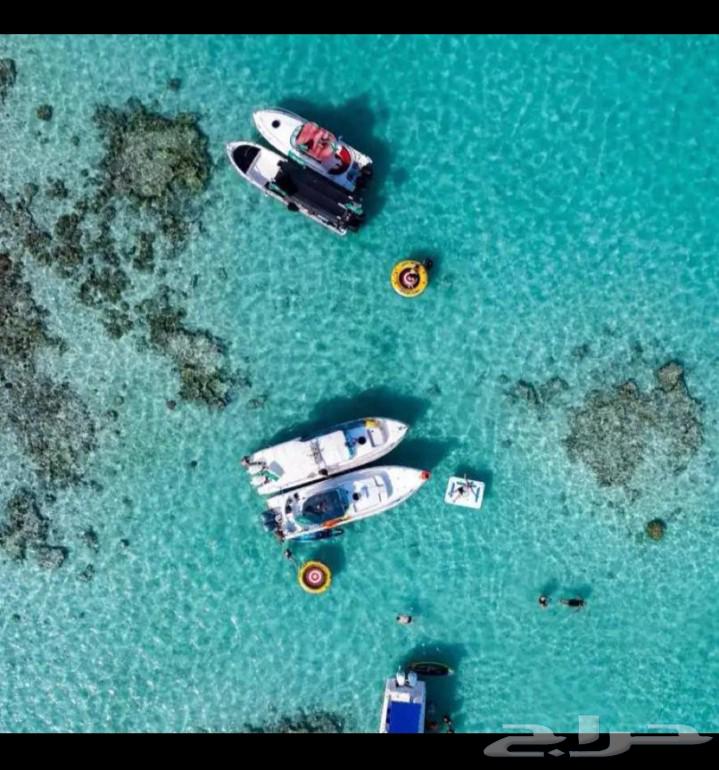 رحلات صيد رحلة بياضه رحلات بحريه64473932011266113