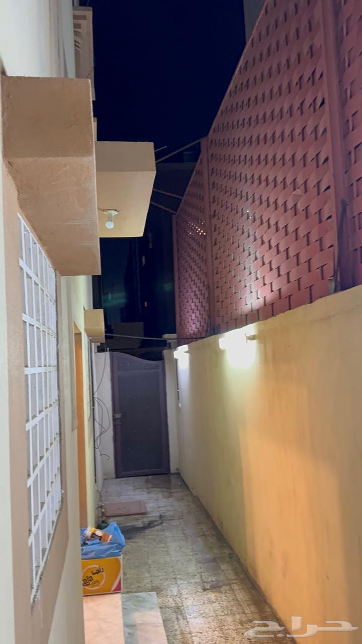 شقة للإيجار