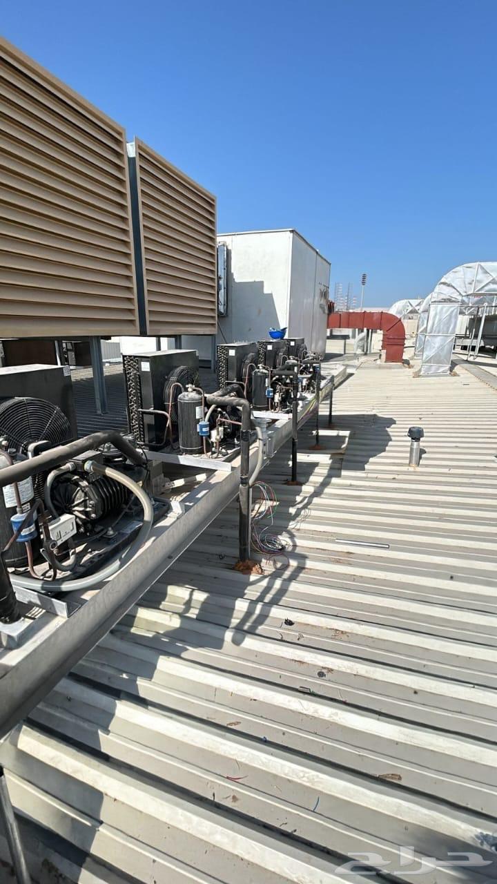 Cooling, freezing, and display refrigerator rooms64473805447555112