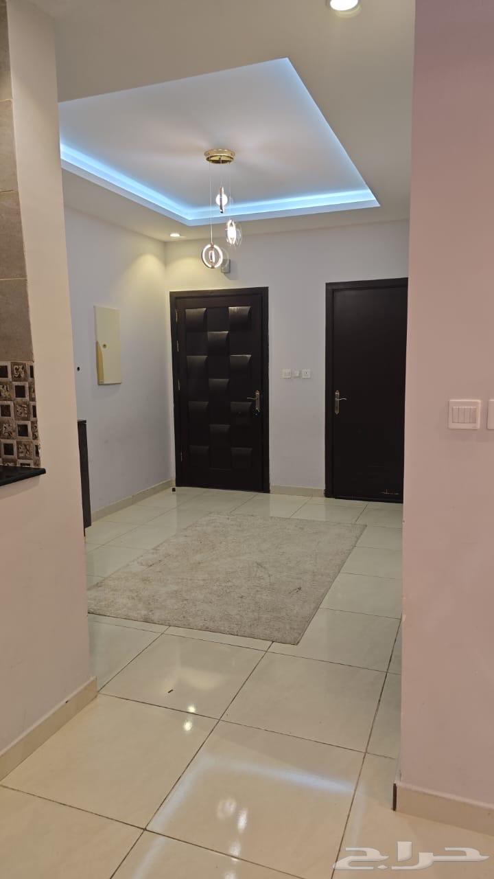 شقة للإيجار