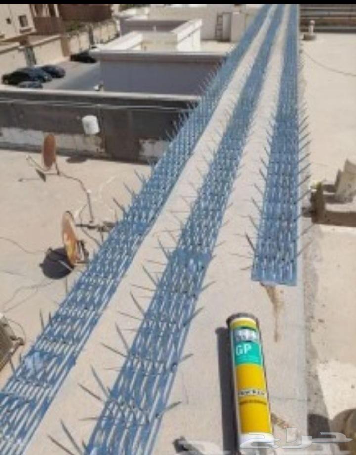 Annoying pigeon repellent, pigeon and insect net installation in Jeddah64473982053379113