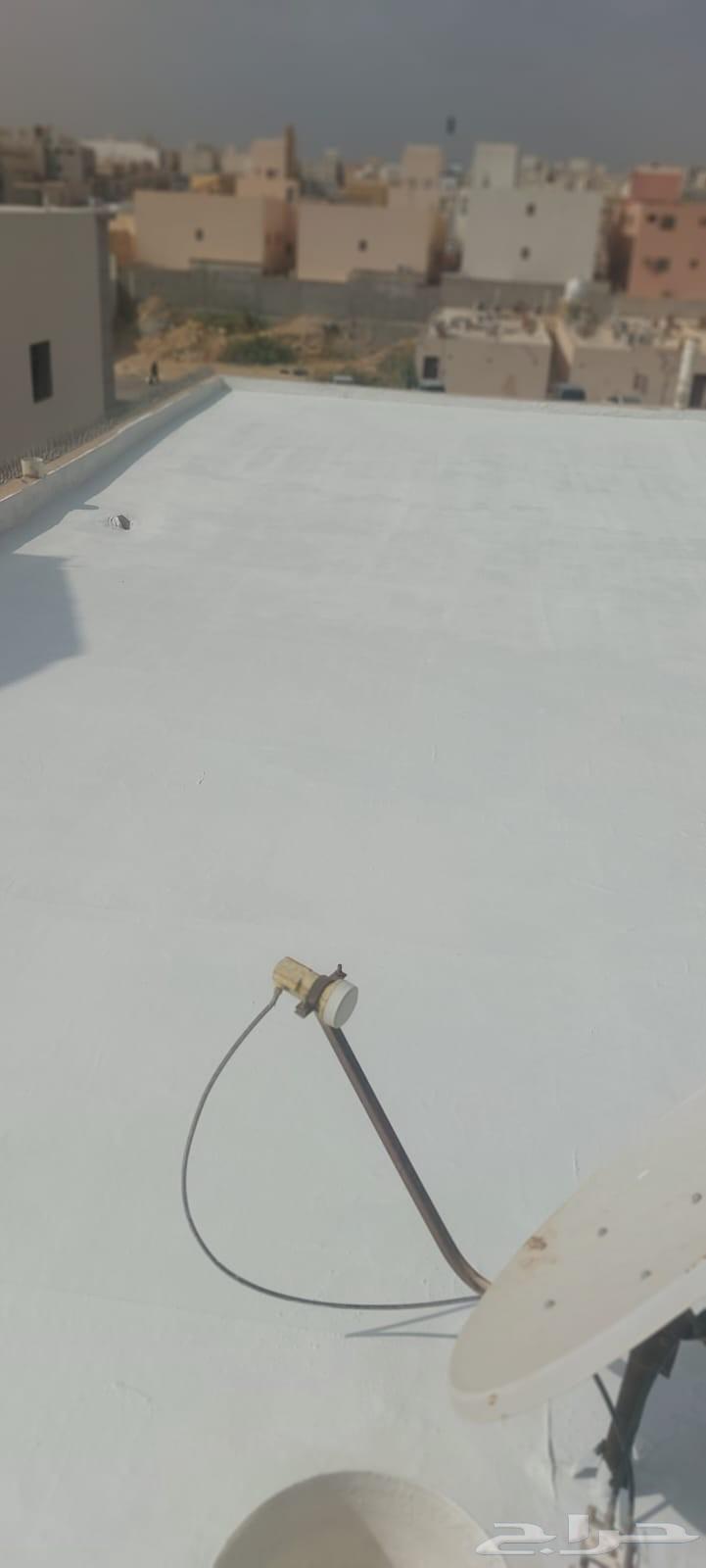 Roof insulation with polyurethane foam64459898625282114
