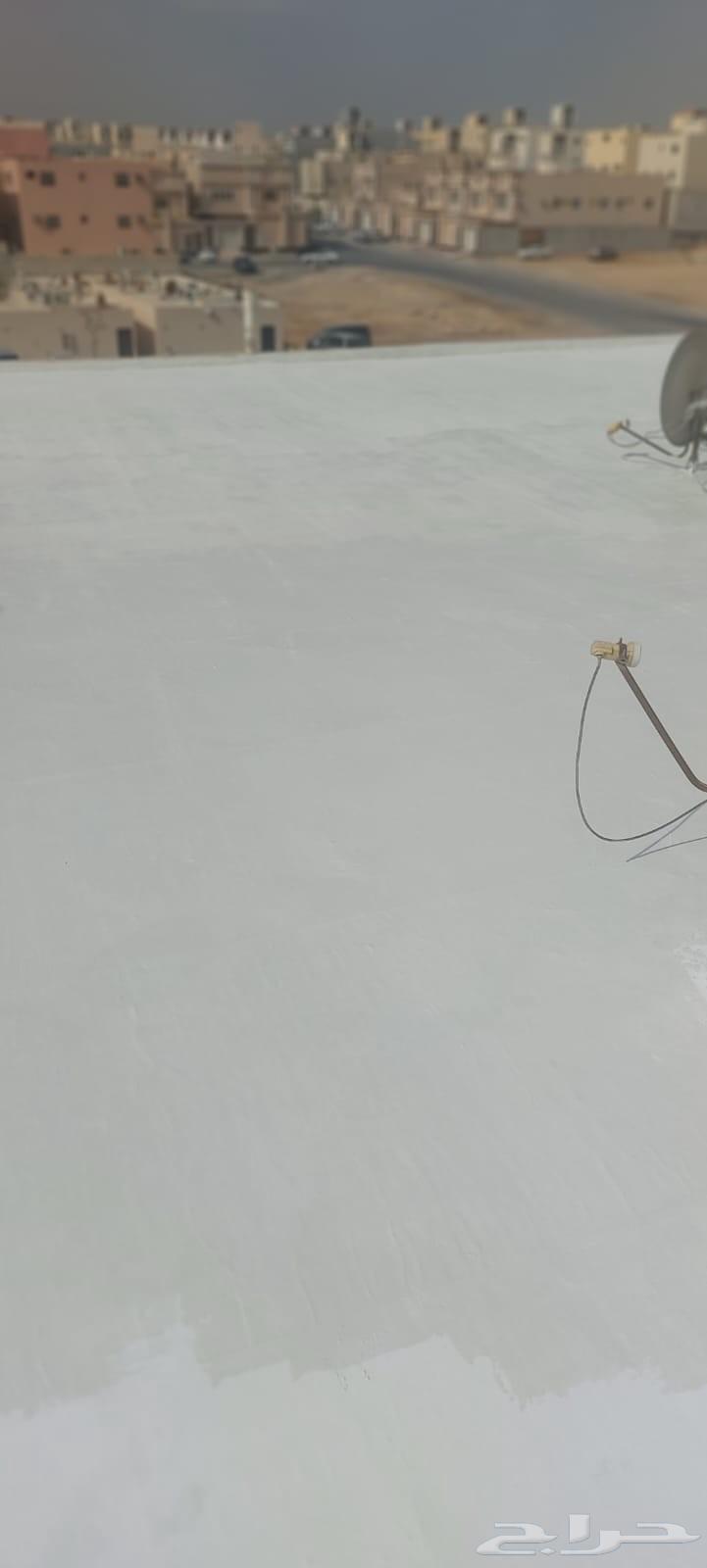 Roof insulation with polyurethane foam64459898625282113