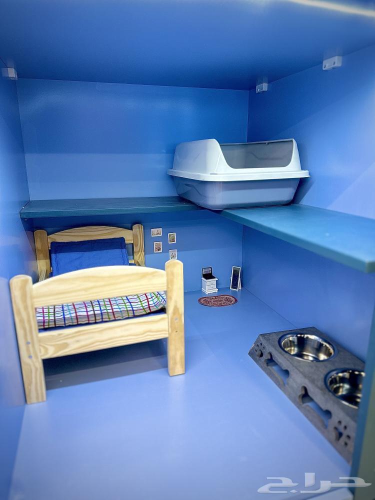 فندقة قطط بالجبيل64459913366401110