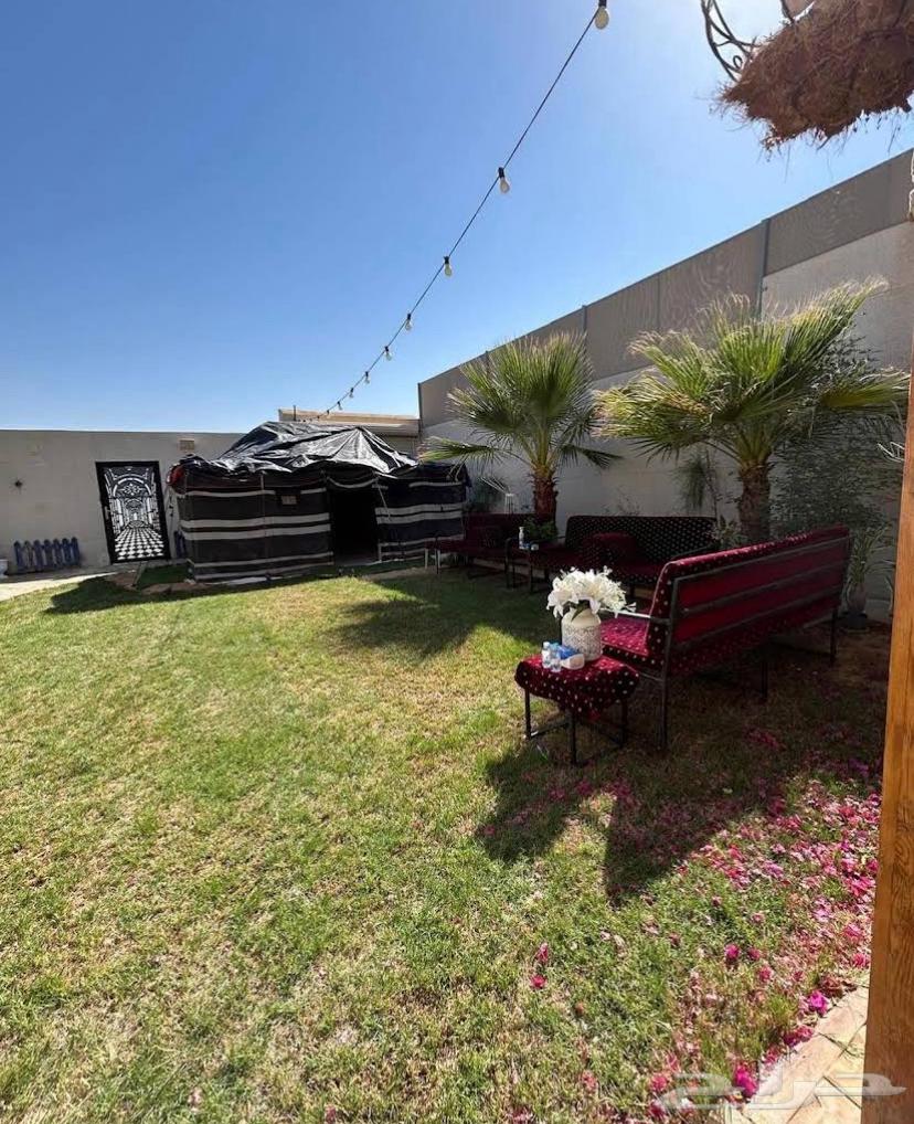 شاليه للبيع في بريدة64473756253953111