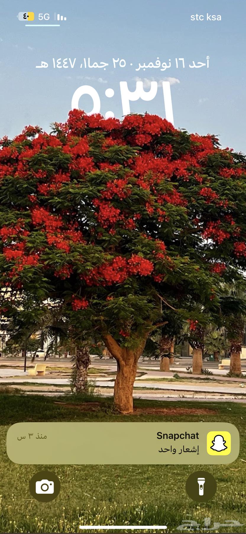 مطلوب غرفة نوم تكون نظيفة واستخدام نظيف64473709227139110