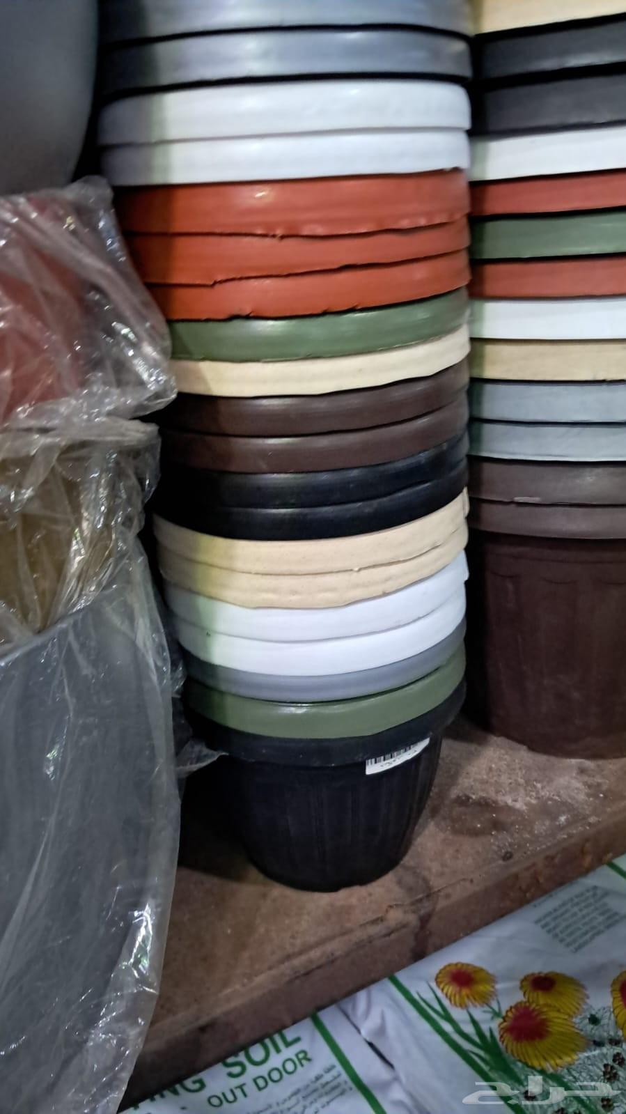 Cultivator of all types of trees, indoor and outdoor, as well as Arabic and American palm trees64474012366979112