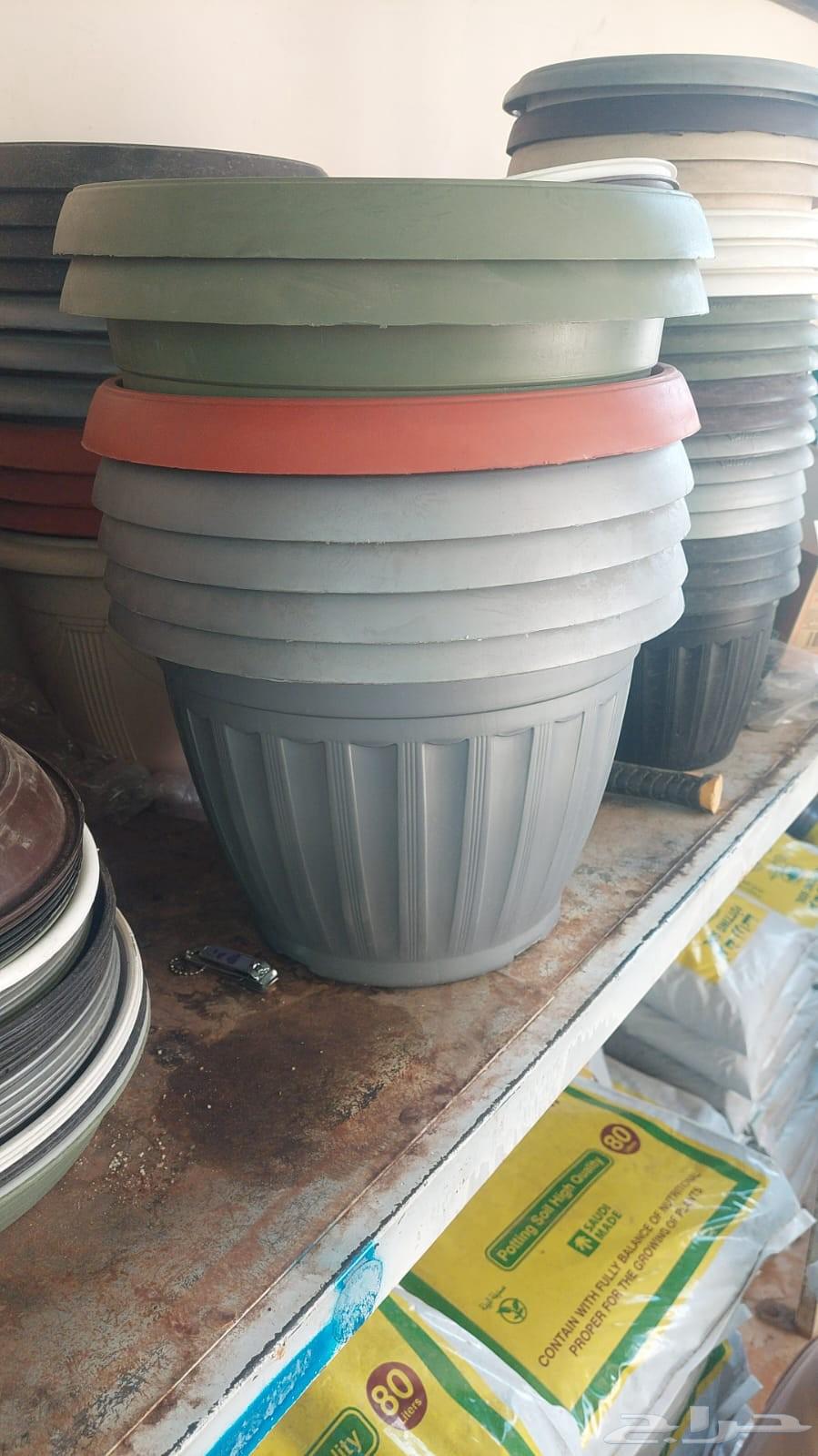 Cultivator of all types of trees, indoor and outdoor, as well as Arabic and American palm trees64474012366979110