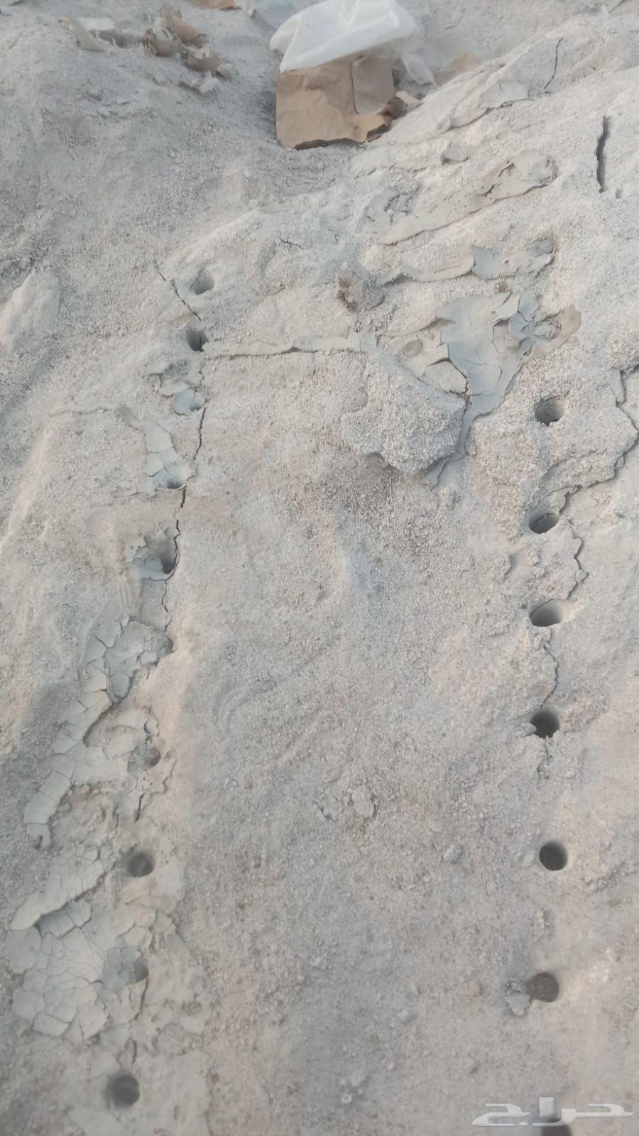 ابو نجم الدباهي للمقاولات وتفتيت الصخور64473883026433110