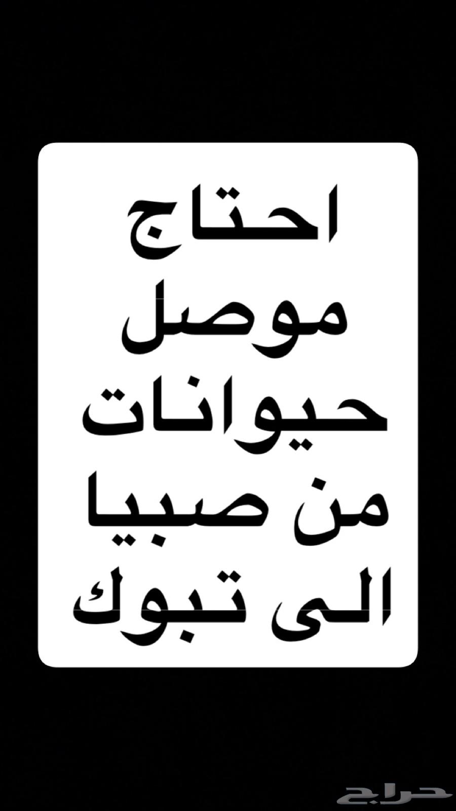 Need an animal transporter from Sabia to Tabuk64459913236739110