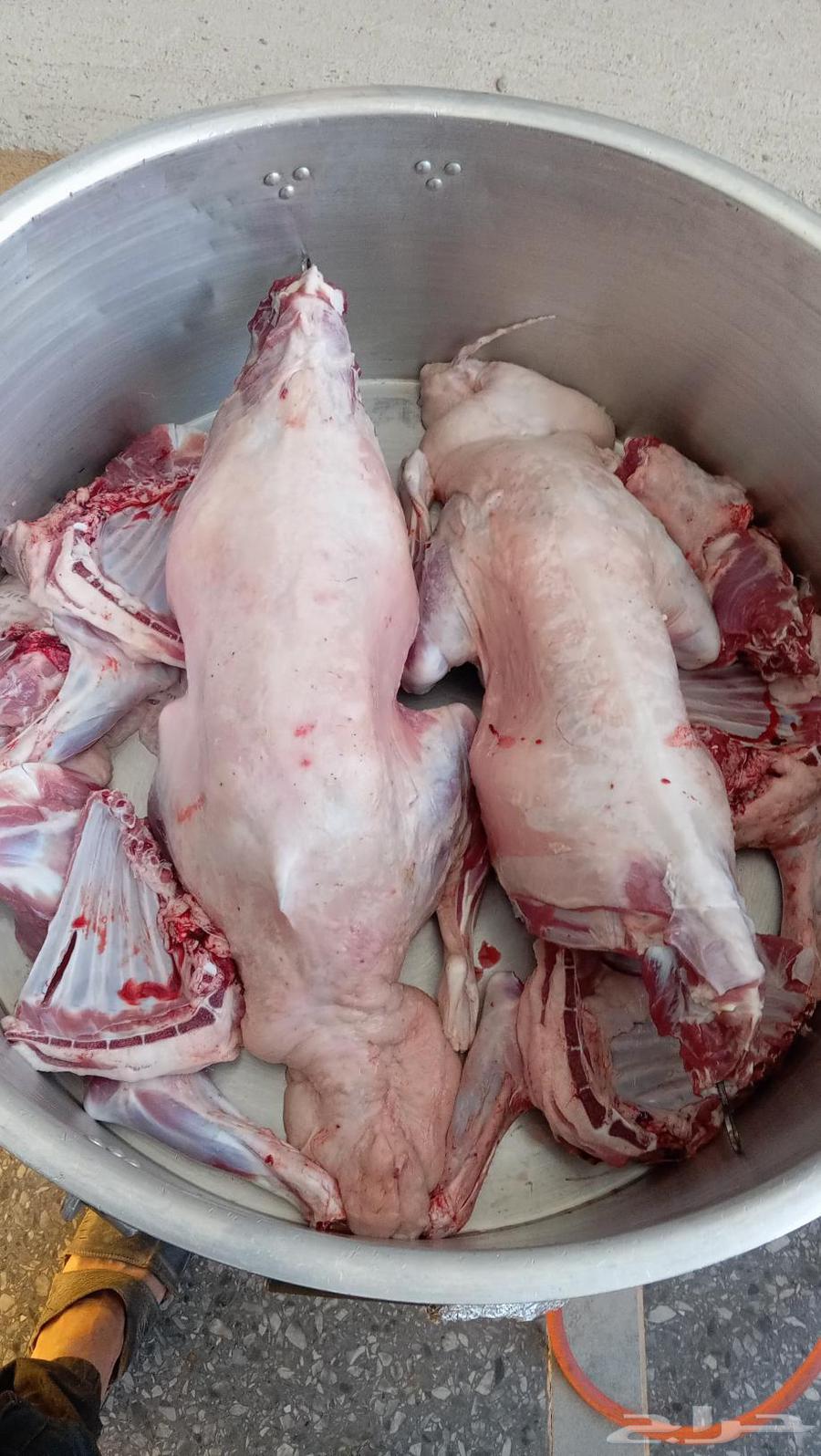 Chef in Riyadh and its suburbs with all his equipment for parties and events Chef64459912466946114