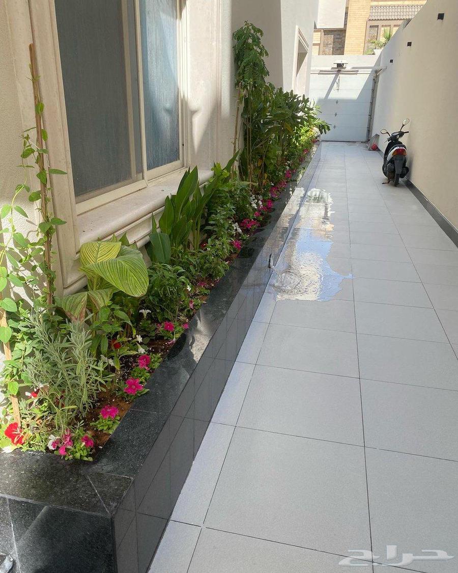 تنسيق حدائق زرع نخيل ورود طبيعي تيل طبيعي64481305168771114