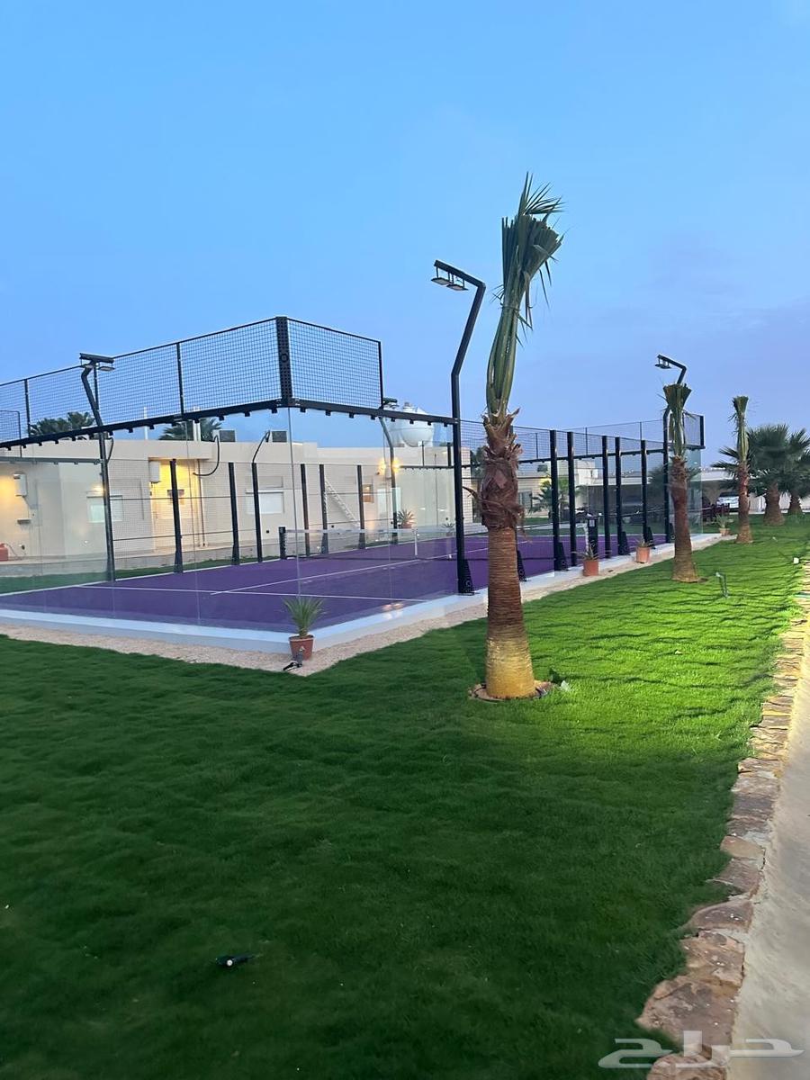 تنفيذ ملاعب بادل64459897974657113