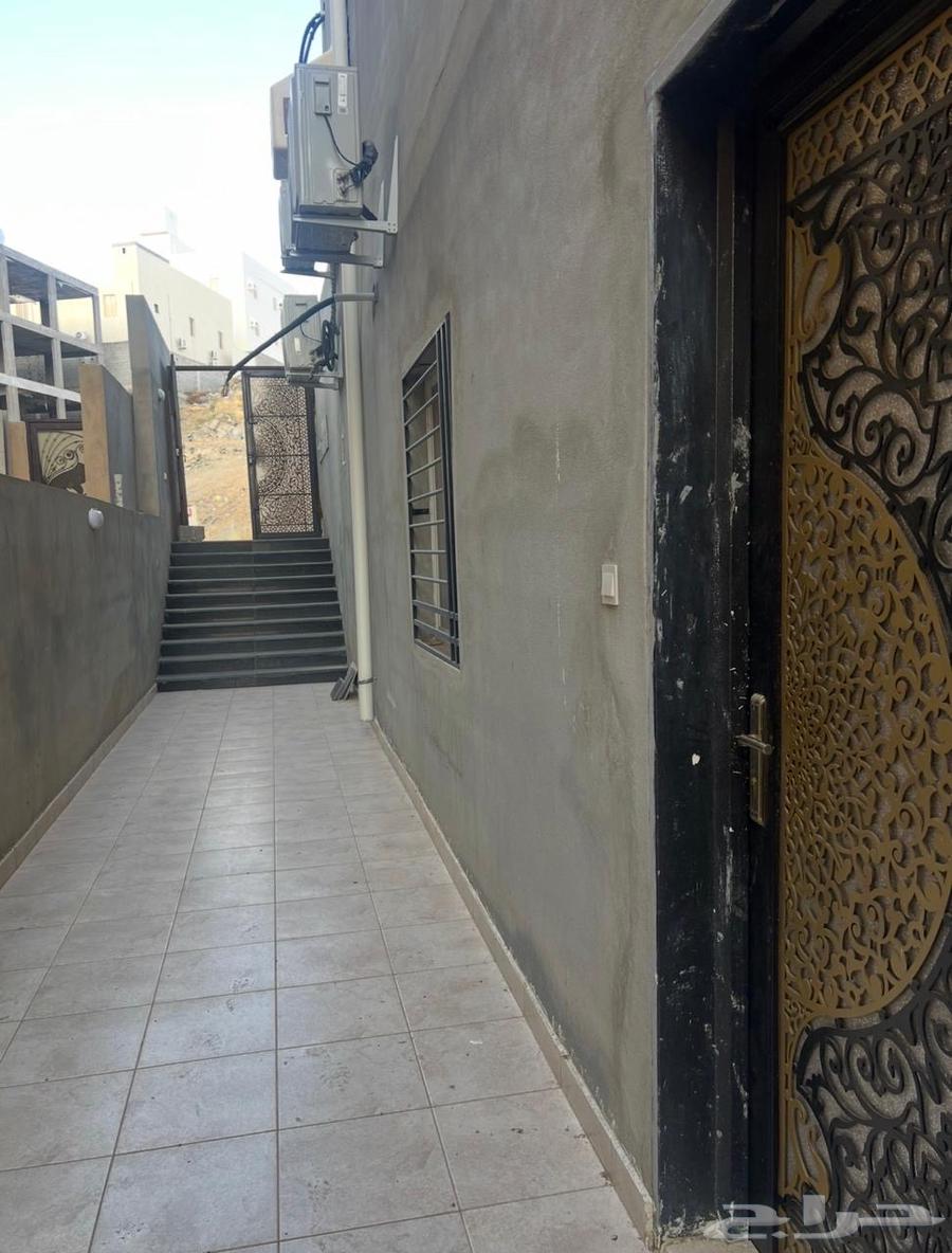 شقة للإيجار