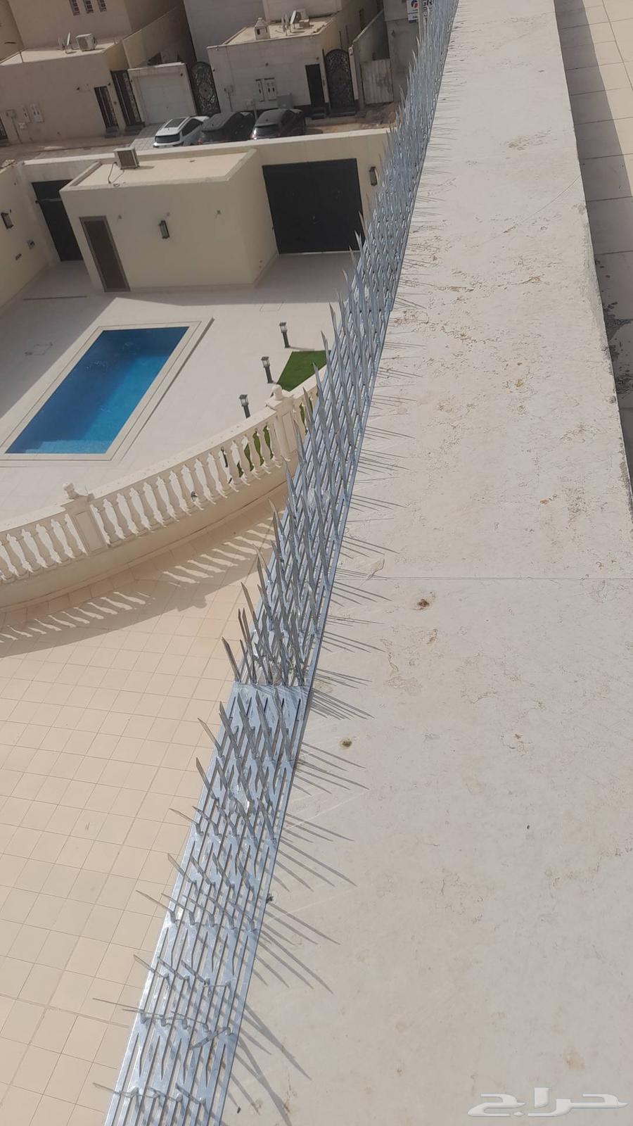 Pigeon repellent installation company, pigeon control, net and spike installation64275205657729114