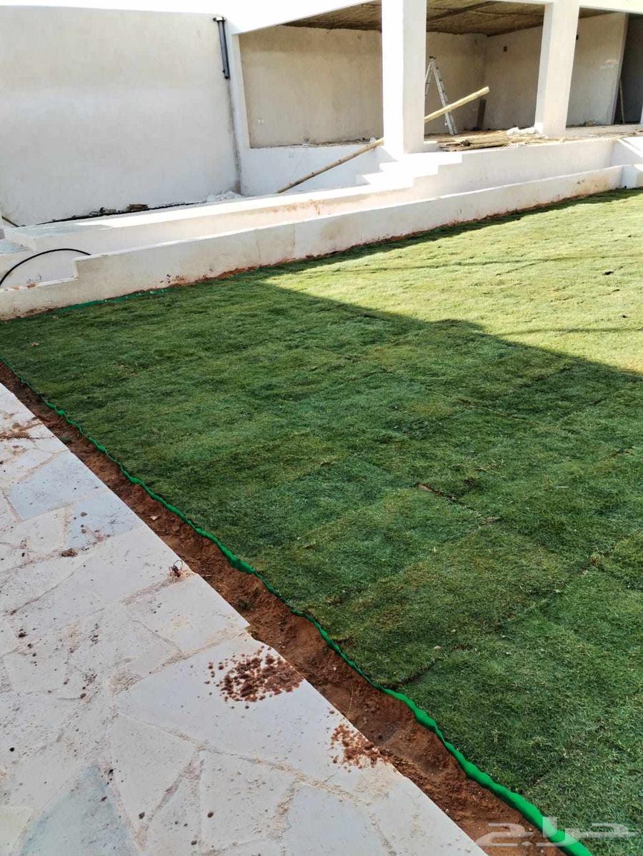 ثيل طبيعي و شبكات الري64270511525249113