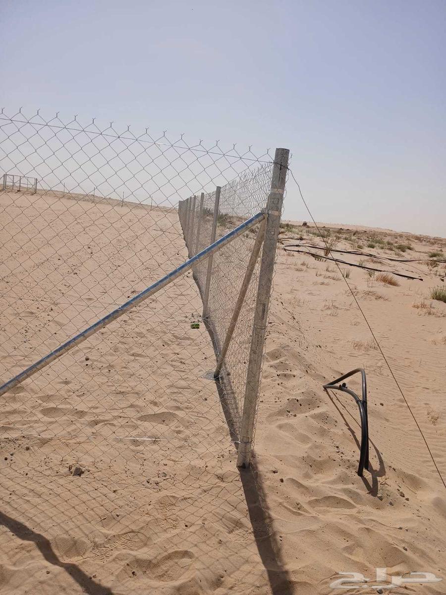 Supply and installation of all types of fences and palm tree planting throughout the Kingdom64273737658498114