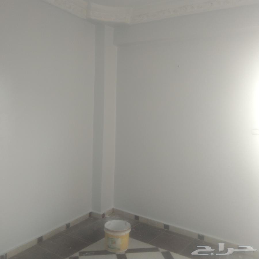 اسلام السيراميك والبورسلين وجميع الترميمات والصيانات64270287002627112