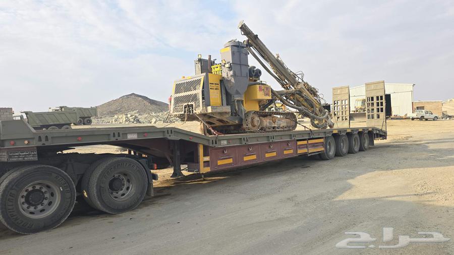 لوبد متواجد في المدينة المنورة64270508898819110