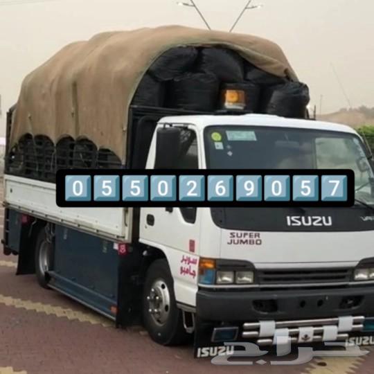 دينا شمال شرق بيع الشفاء طش تخلص من العزاز القديم من الرياض64270511075203110