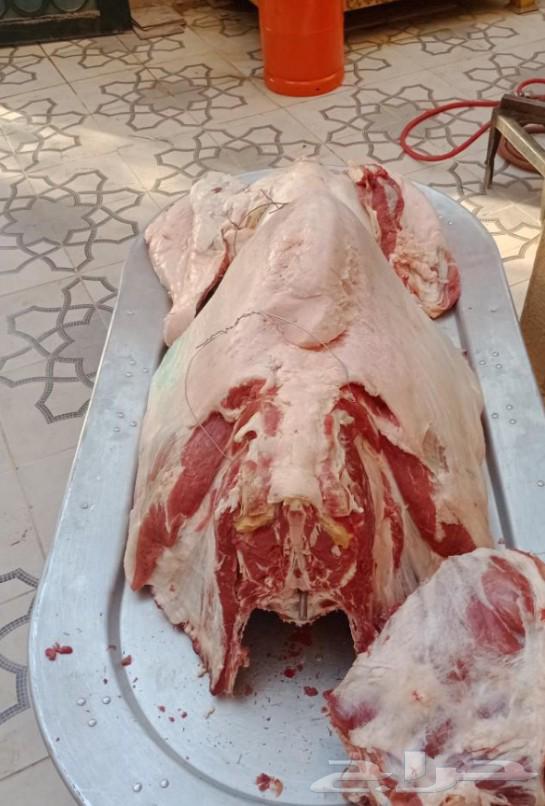 Mobile chef entering Riyadh and leaving Riyadh64270511971842110