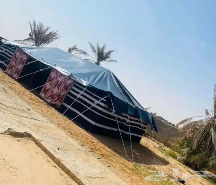 Disassembly, assembly, and restoration of all types and kinds of poetry houses64270287437825111