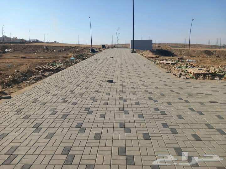 Tile and Interlock Expert64274312886914114