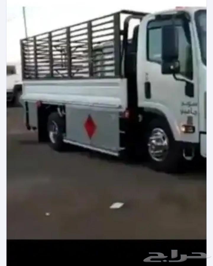 دينا نقل64270287586817110