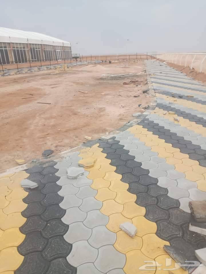 Tile and Interlock Expert64274312886914110