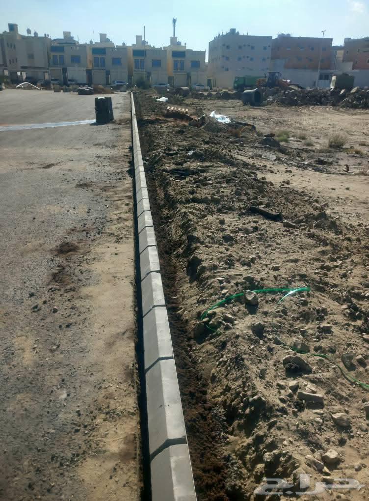 Tile and Interlock Expert64274312886914112