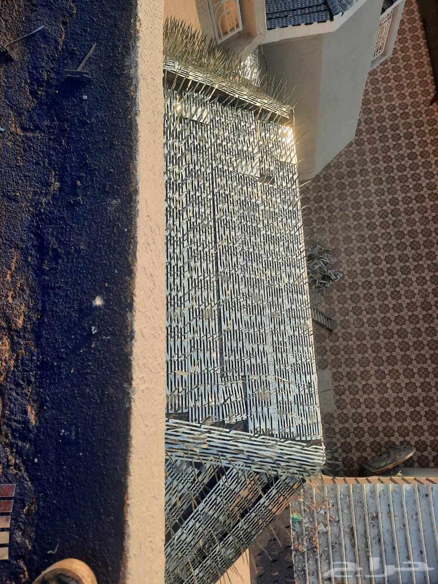 Pigeon Repeller Installation Pigeon Deterrent from Balconies64270508750977112