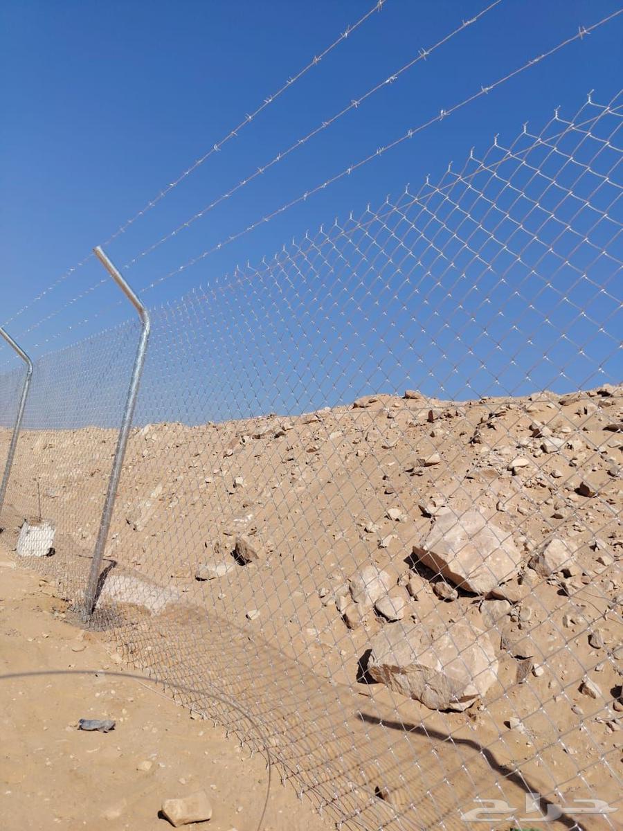 تركيب شبوك وزراعه النخيل64274312406147114